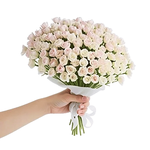 Blossom Petal Serenity