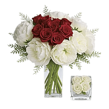 Petal Radiance Bliss