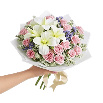 Ivory Garden Grace