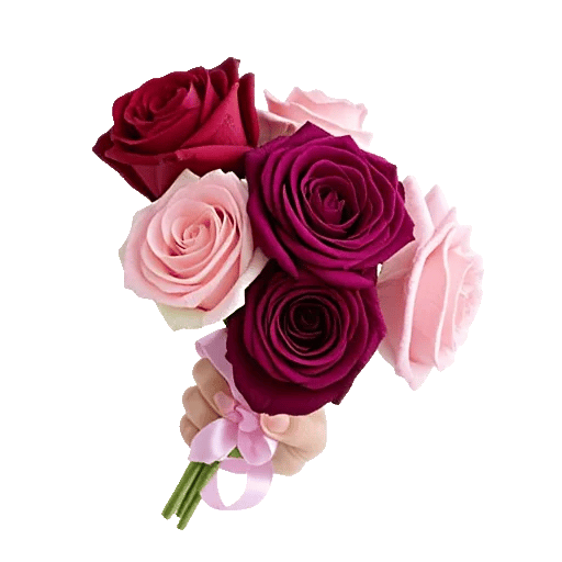 Crimson Rose Elegance