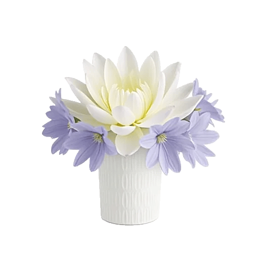 Minimalist White Orchids