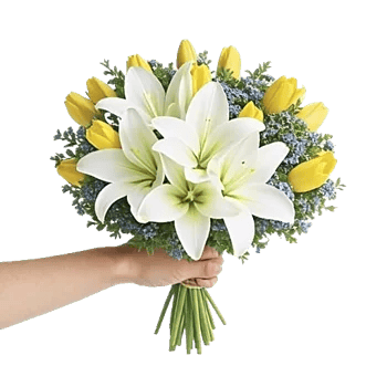 Blossom Harmony Display