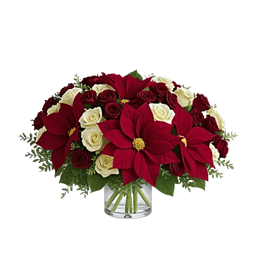 Petal Radiance Bliss