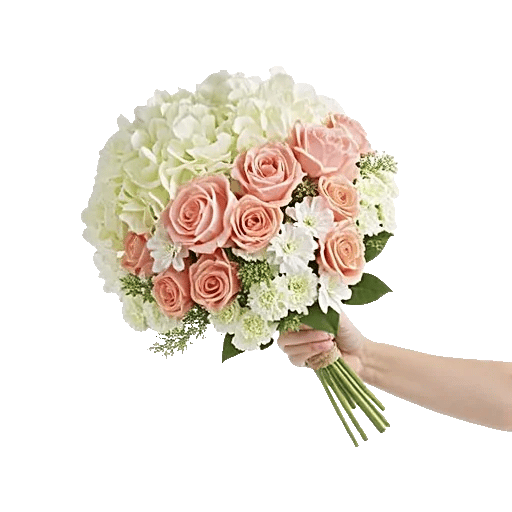 Serene Petal Harmony