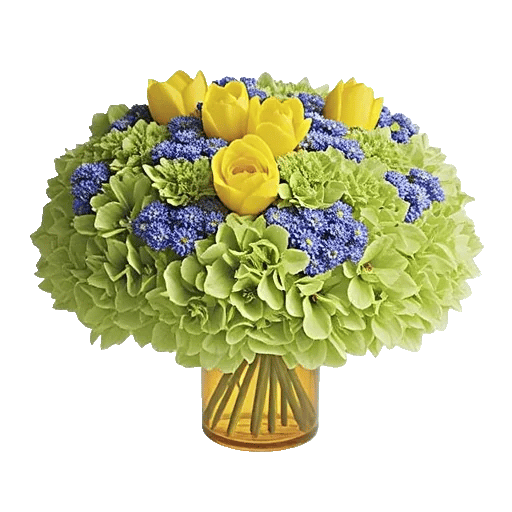 Petal Radiance Bliss