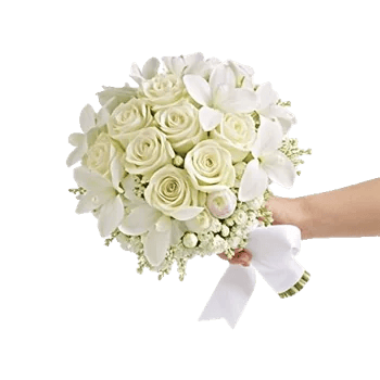 Modern White Orchids