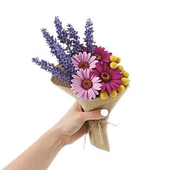 Lavender Bloom Grace