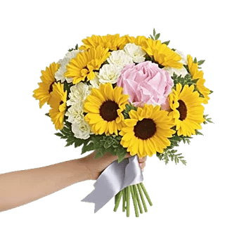 Blossom Harmony Display