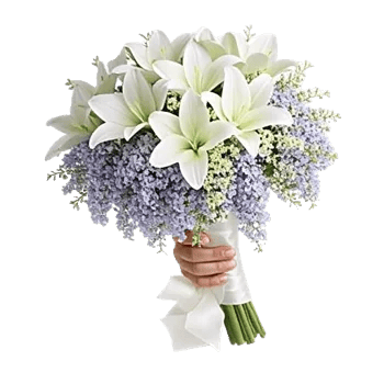 Ivory Blossom Radiance