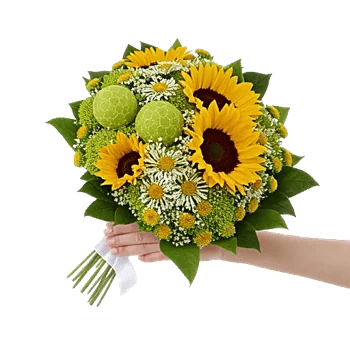 Blossom Harmony Display