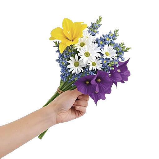 Blossom Harmony Display