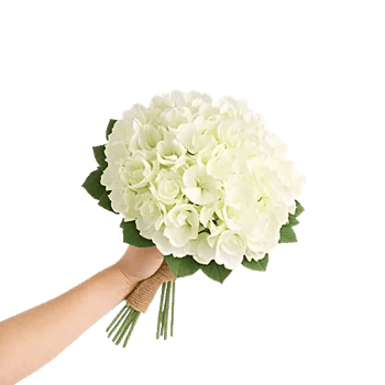 Delicate Petal Cascade