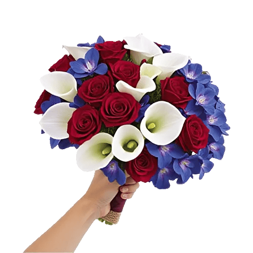 Blushing Rose Symphony