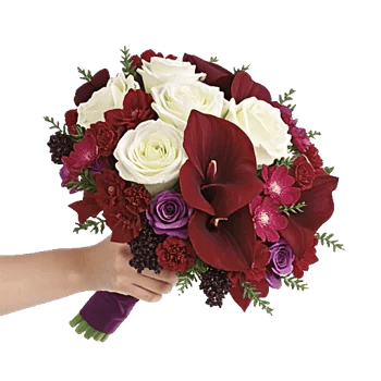 Elegant Calla Lilies