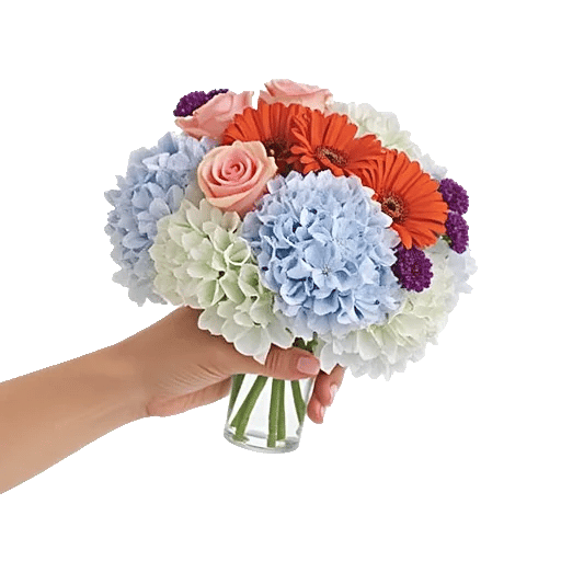 Serene Petal Harmony