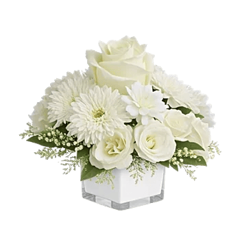 Graceful Lily Display