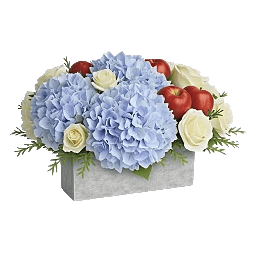 Serene Petal Harmony