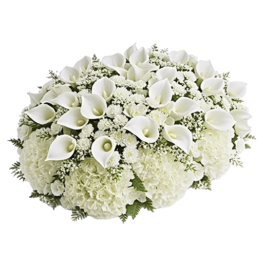 Ivory Garden Grace