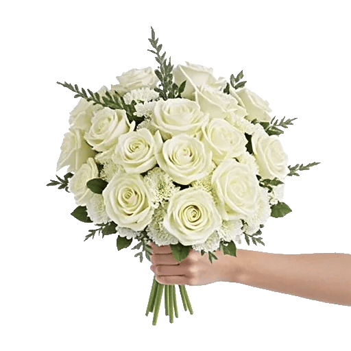 Ivory Garden Grace