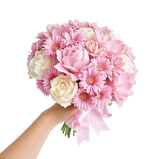 Peony Petal Harmony