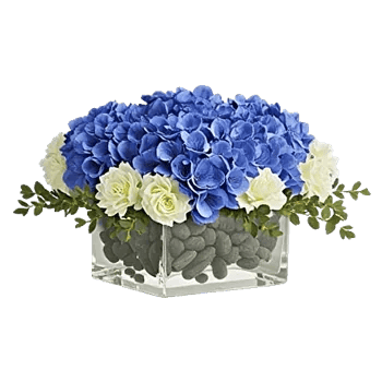 Sapphire Bloom Whisper