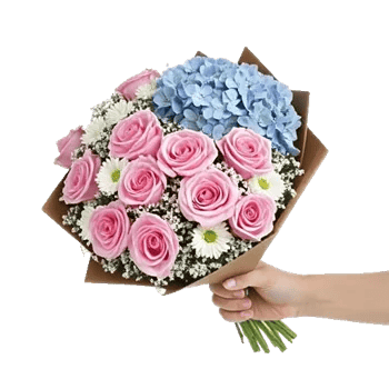 Serene Petal Harmony