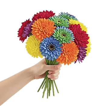 Petal Harmony Bliss