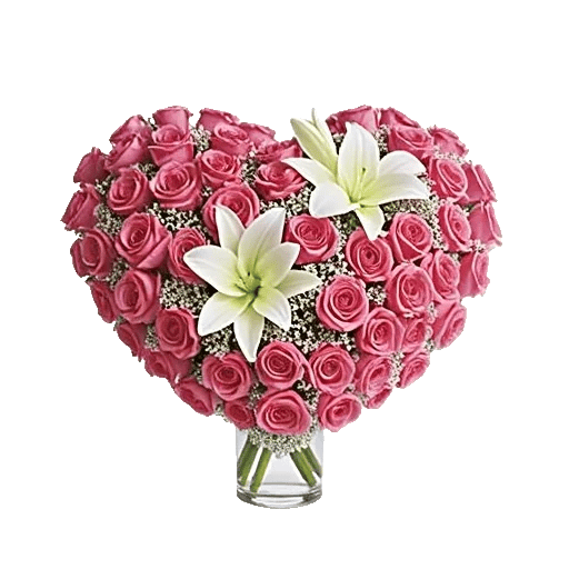 Blushing Rose Symphony