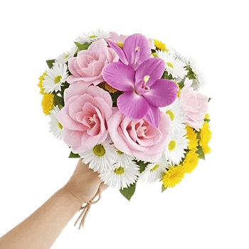 Delicate Petal Cascade