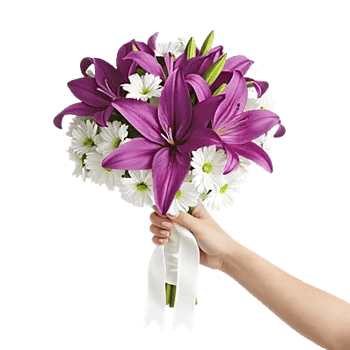 Blossom Harmony Display