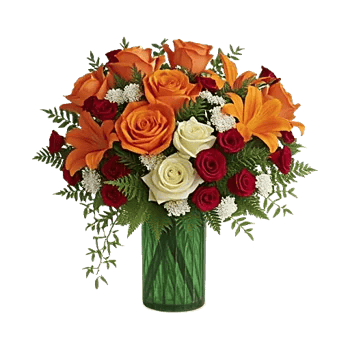 Radiant Rose Symphony