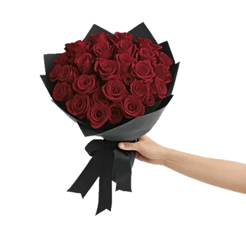 Crimson Rose Elegance