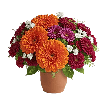 Petal Radiance Bliss