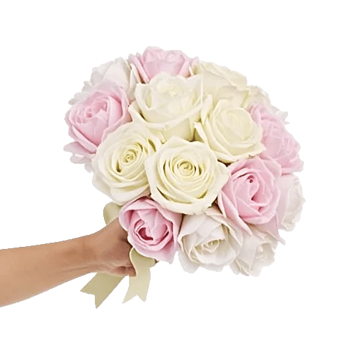 Peony Petal Harmony