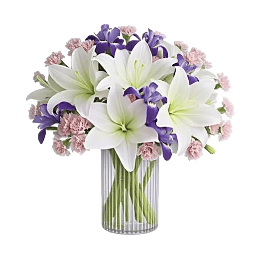 Ivory Blossom Radiance