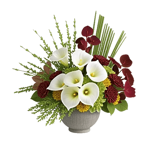 Elegant Calla Lilies