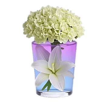 Graceful Lily Display