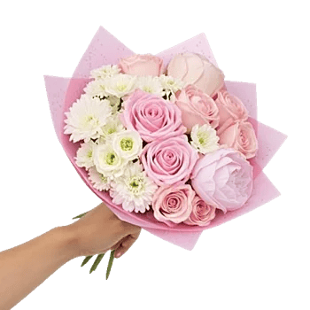 Pastel Pink Roses