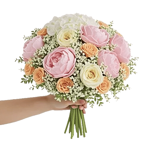 Peony Petal Harmony
