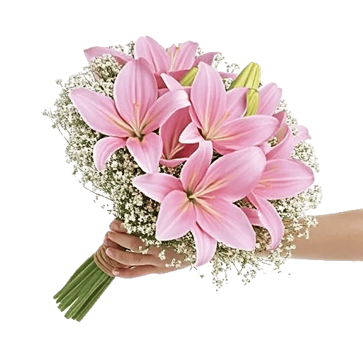 Blossom Radiant Whisper