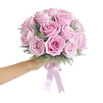 Pastel Pink Roses