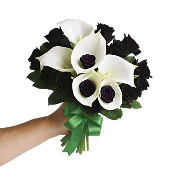 Elegant Calla Lilies
