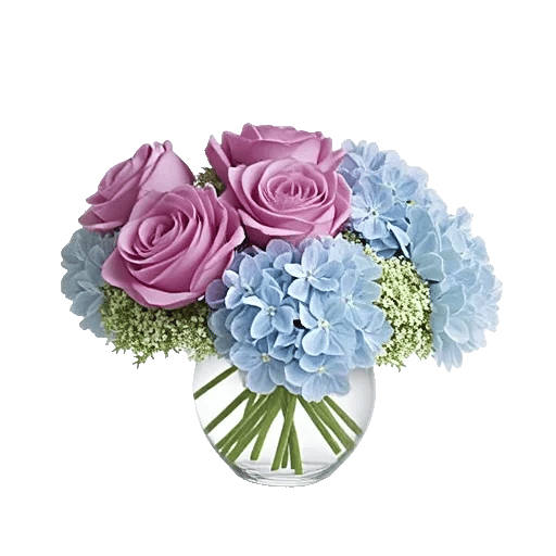 Serene Petal Harmony