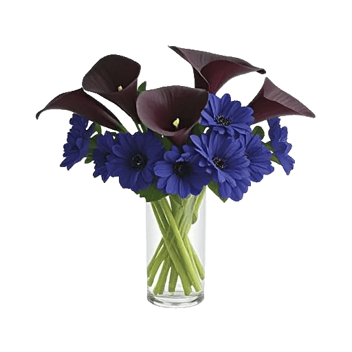 Elegant Calla Lilies
