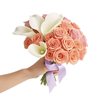 Elegant Calla Lilies