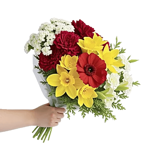 Blossom Harmony Display