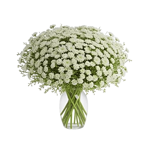 Delicate Petal Cascade