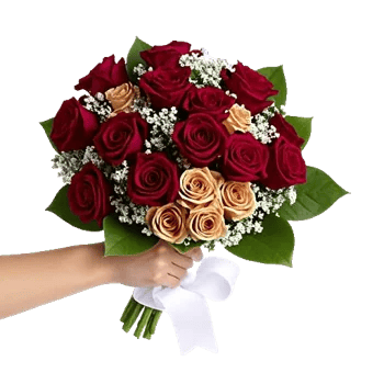 Blushing Rose Symphony