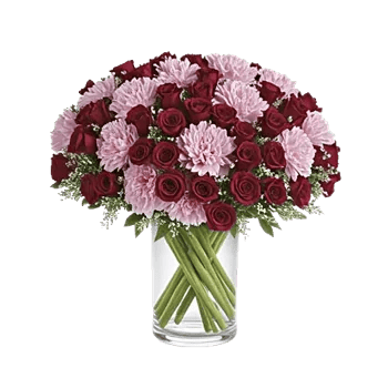 Pink Pastel Roses
