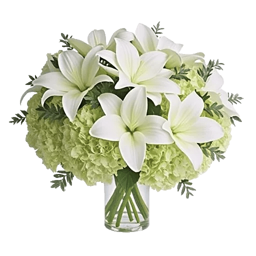 Ivory Blossom Radiance